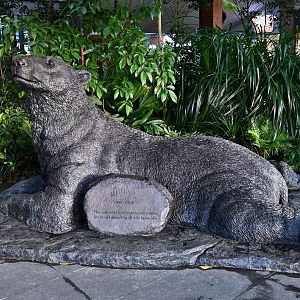 Sculpture of Inuka the Polar Bear