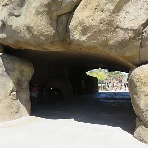 Life Underground Tunnel