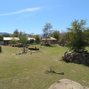 Black Rhino Savanna 1