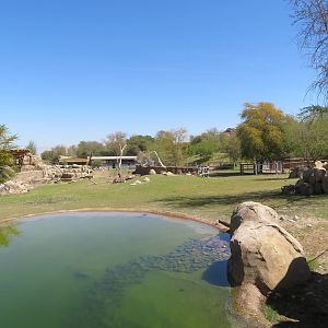 Black Rhino Savanna 1