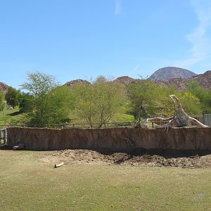 Black Rhino Mud Wallow