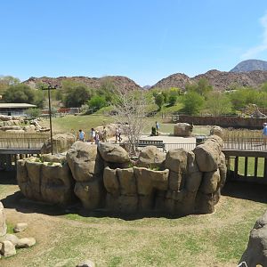 Rhino Savanna Bridge