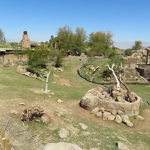 Black Rhino Savanna 2