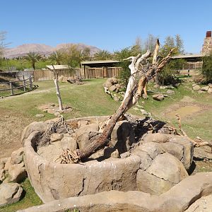 Black Rhino Savanna Island