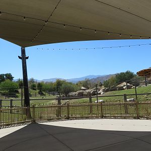 Another View of Rhino Savanna