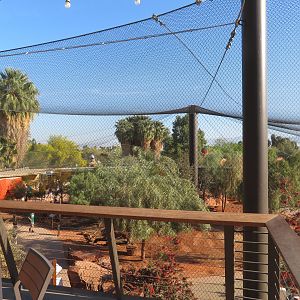 Australian Adventures