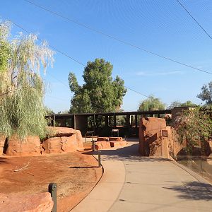 Australian Adventures