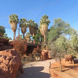 Australian Adventures