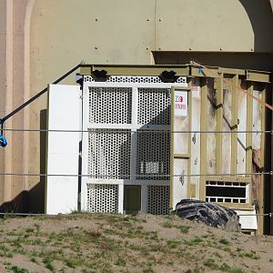 Transport crate for bull elephant Kanvar, 2022-06-15