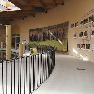 Visitor area in the Asian elephant house, 2022-06-15