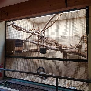 Trevor Zoo - Lemur indoor area