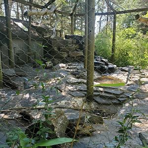 Trevor Zoo - Kea enclosure