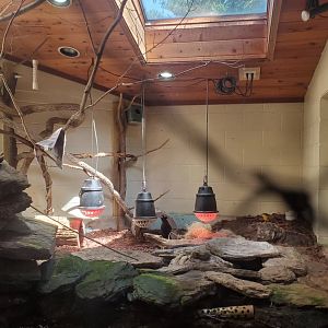 Trevor Zoo - Taveta Weaver/Turtles enclosure