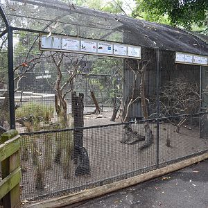 Grassland Birds Aviary