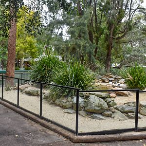 Little Penguin/Cormorant Enclosure