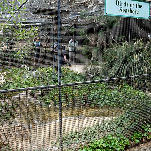 Seashore Aviary