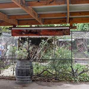 Seashore Aviary