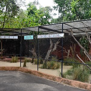 Kimberley Coast Aviary