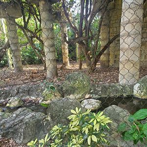 Palm Beach Zoo (2021) - Jaguar temple (Tropics Of The Americas)