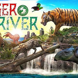 The Award Winning Tiger River | Zoo Tours