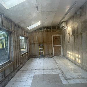 Dusky Langur house under renovation?