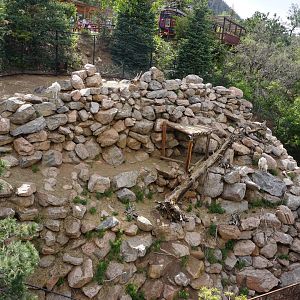 Rocky Mountain Goat Exhibit