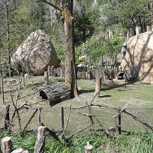 Guinea Pig Exhibit 1