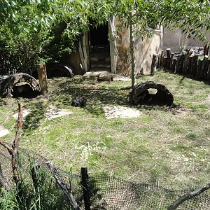 Guinea Pig Exhibit 2