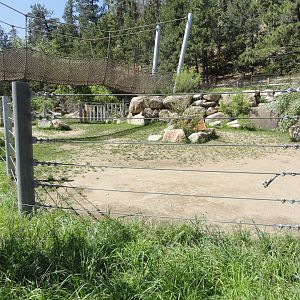 Warthog and Hippo Yard 1