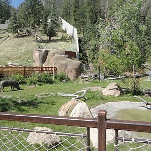 Warthog Exhibit