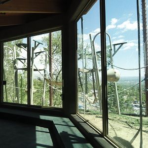 Sumatran Orangutan Outdoor Exhibit