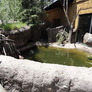 American Beaver Exhibit