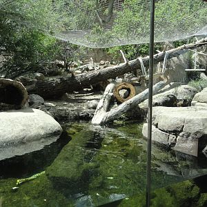 North American River Otter Exhibit
