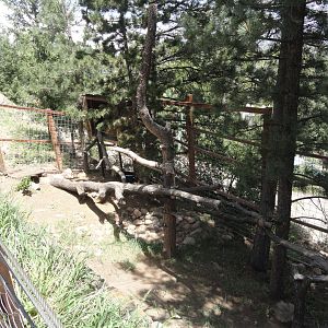 Bald Eagle Exhibit