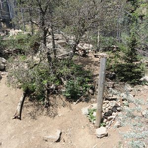 Grizzly Bear Exhibit 1