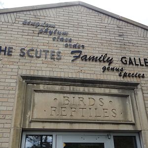 Scutes Family Gallery Facade
