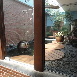 Burmese Python Exhibit