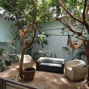 Hoffman's Two Toed Sloth & Western Pond Turtle Exhibit