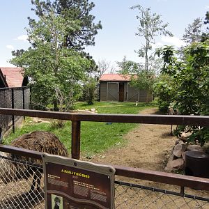 Emu Exhibit