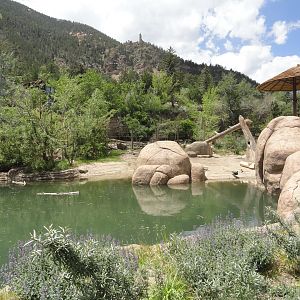 African Elephant Exhibit