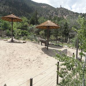 African Elephant Exhibit