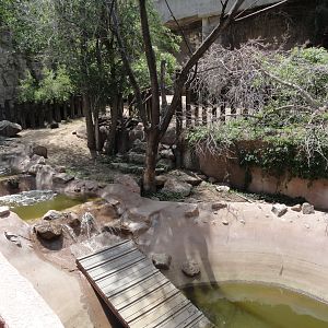 Old Mountain Tapir & Muscovy Duck Exhibit