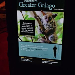 New Signage in Kingdoms of the Night