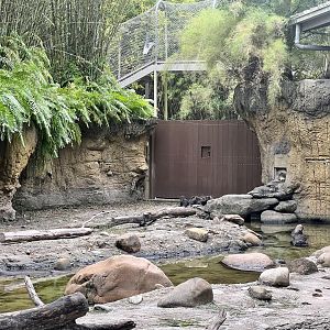 Small-clawed Otter Exhibit