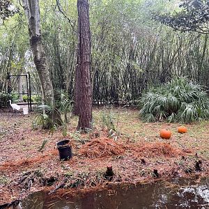 Whooping Crane Exhibit