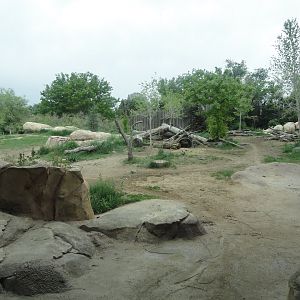 Spotted Hyena Exhibit