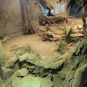 Pancake Tortoise & Sudan Plated Lizard Exhibit