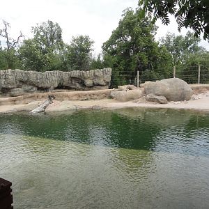 Asian Elephant Exhibit