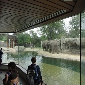 Asian Elephant Indoor Viewing Area