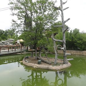 White-cheeked Gibbon Island 1